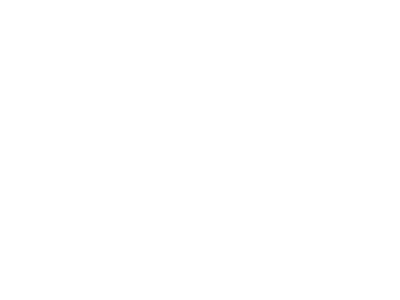 Lessor logo